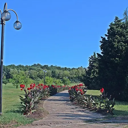 Θέρετρο Duni Pelican 4*