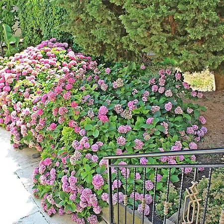 Resort Duni Pelican Sozopol